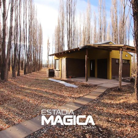 Cabanas En Malargue Malargüe Exterior foto