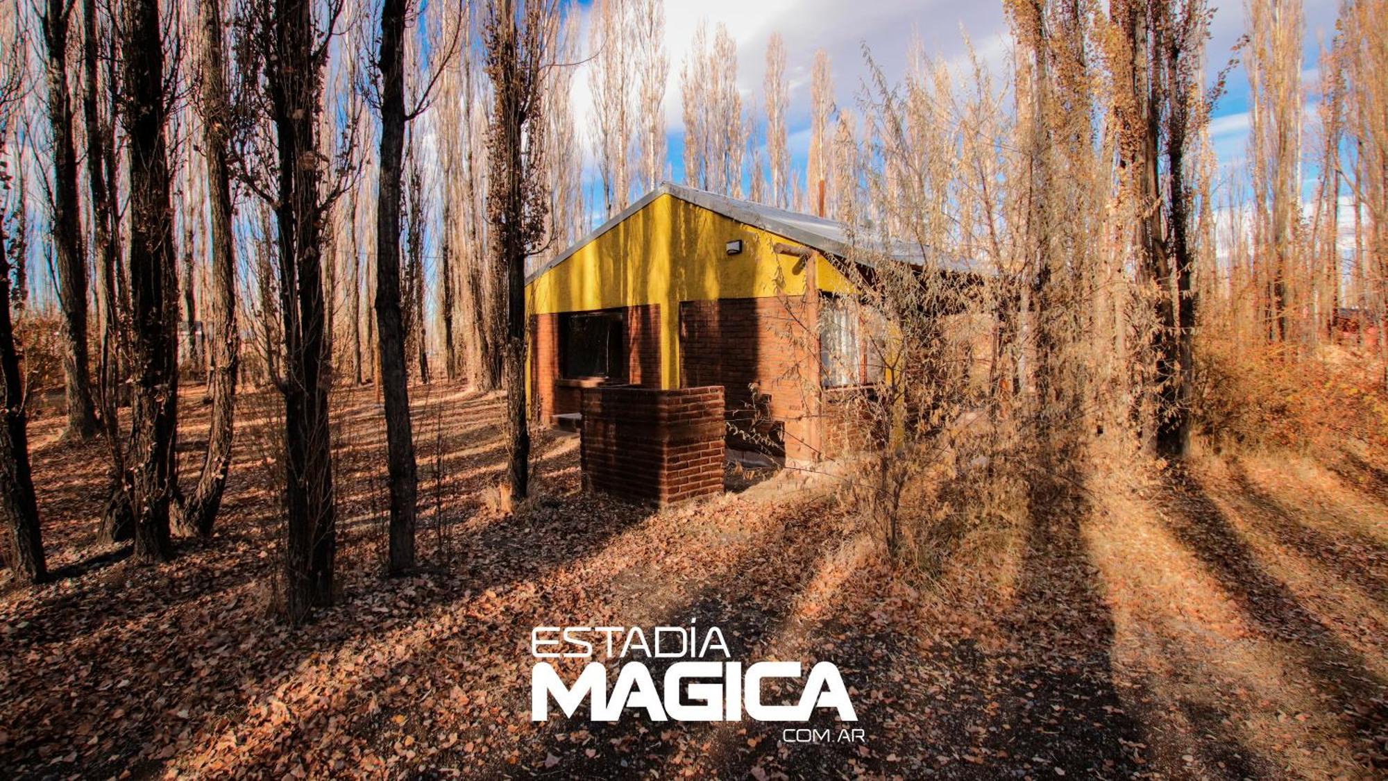 Cabanas En Malargue Malargüe Exterior foto